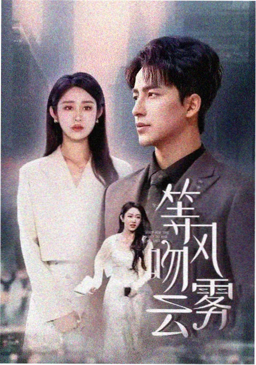 我们与恶的距离 剧集封面