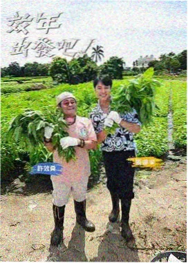 奔跑吧 综艺封面